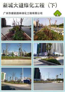 增城新城大道綠化工程 提升城市形象，筑就綠色長廊