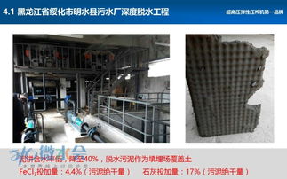 污泥深度脫水與資源化在綠化工程中的價值與應用方向探討