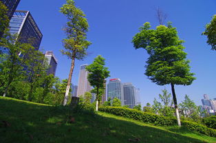 福建園林綠化工程招標新規 景觀工程迎來規范與綠色新篇章