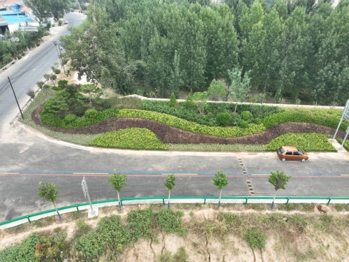 新絳縣林業局持續提升縣域道路生態綠化水平景觀工程成效顯著